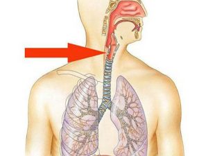 20210915_teo-thuc-quan-03