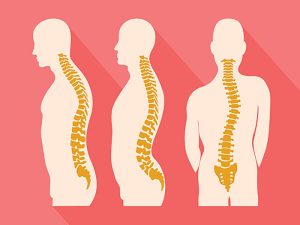 5654-bieu-hien-cac-dang-cong-veo-cot-song