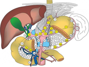 thumb_660_8b462cea-ba4f-4455-a9ea-89830c6d2810