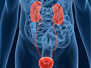 ungthugerr-1506506557897-0-0-447-720-crop-1506506560448 (1)(1)