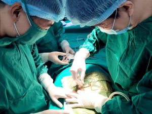 z2047777807441_c92da4f4b402eecc2605ca8ba6f97524-e1598596356993-1024x768